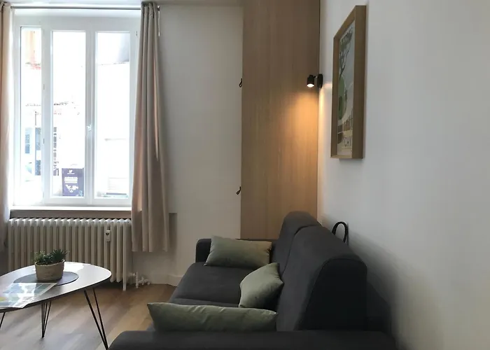 Apartment Le Larbaud - Hypercentre - Clim - Thermes- Rdc *